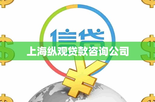 上海纵观贷款咨询公司