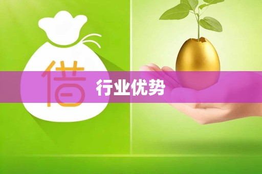行业优势